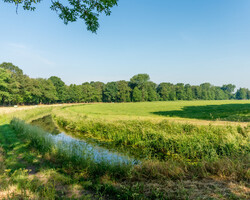 foto bij artikel